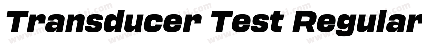 Transducer Test Regular字体转换